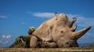 Fotografie oceněné na mezinárodní soutěži Travel Photographer of the Year 2022