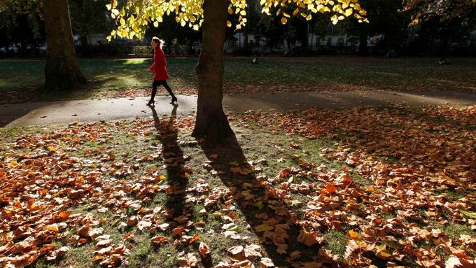 Podzimní Russell Square - rozsáhlé náměstí nacházející se ve čtvrti Bloomsbury v Londýnském obvodu Camden.