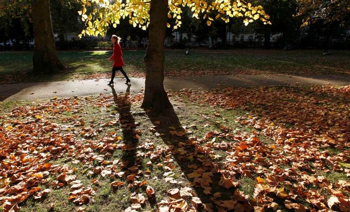 Podzimní Russell Square - rozsáhlé náměstí nacházející se ve čtvrti Bloomsbury v Londýnském obvodu Camden.