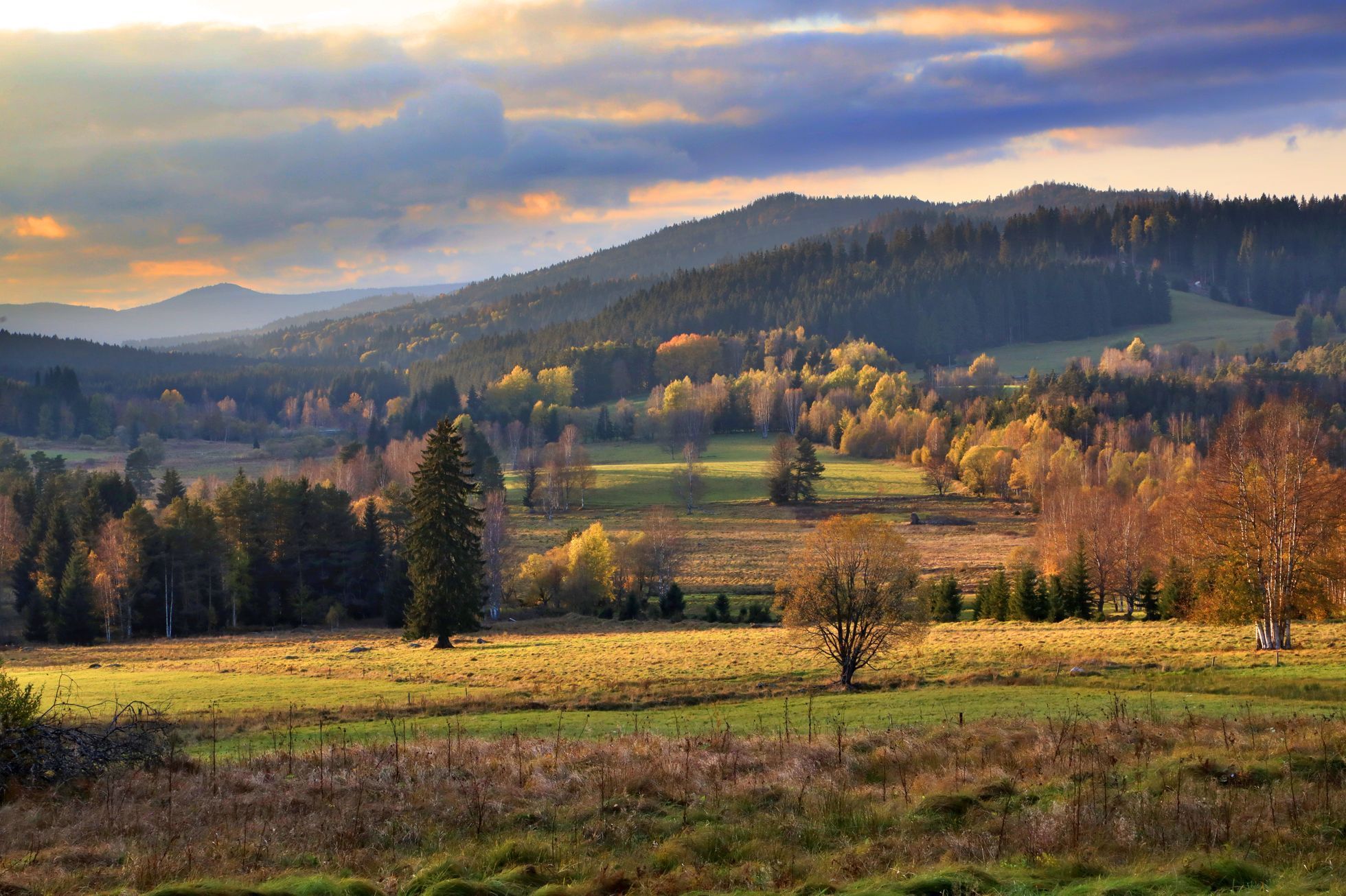 Šumava Strážný