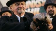 Na Philovu předpověď letos do městečka Punxsutawney na Goblerův vršek ke sviští noře dorazilo 13 tisíc diváků.