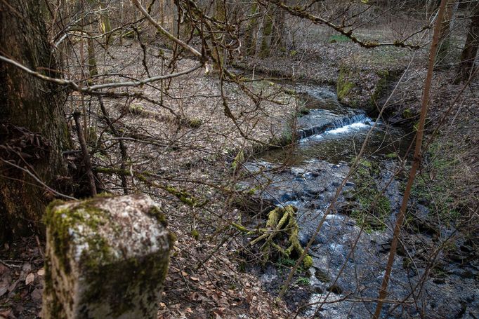 Kašperské hory a okolí, zvažovaná oblast pro těžbu zlata.