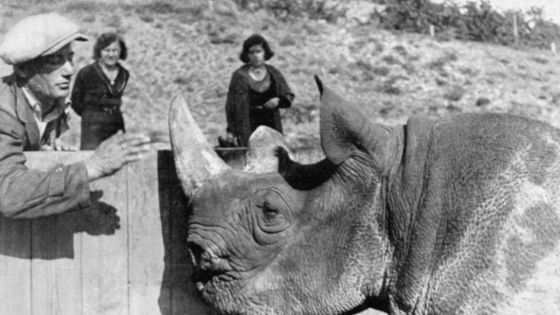 Máte rádi pražskou zoo? Podívejte se, co mají v archivu