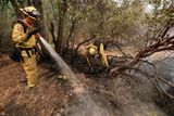 Plameny v severní Kalifornii spálily od minulého pondělí na 360 kilometrů čtverečních porostů...