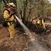 Fotogalerie / Lesní požár v Kalifornii / Reuters / 15