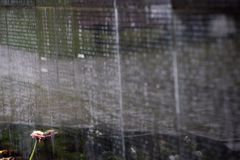 Před 20 lety padl nejstarší komunistický vůdce. Pučem