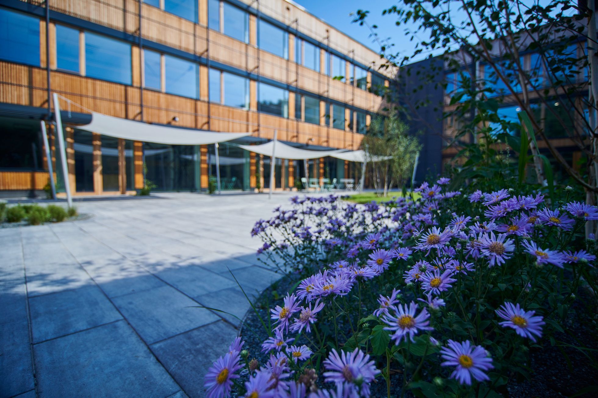 Neutrální škola Hrdlořezy