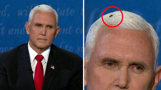Neplánovanou hvězdou debaty kandidátů na viceprezidenta USA se stala moucha, jež se asi na dvě minuty usadila na hlavě republikána Mikea Pence.