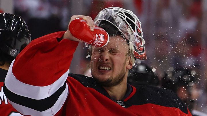 Vítěz Stanley Cupu Vaněček zamířil do Utahu, bude parťákem Vejmelky; Zdroj foto: Reuters
