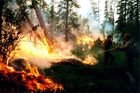 Lesní požáry zuří na ploše 2,4 milionu hektarů, informovala v pondělí agentura TASS.