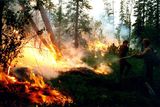 Lesní požáry zuří na ploše 2,4 milionu hektarů, informovala v pondělí agentura TASS.