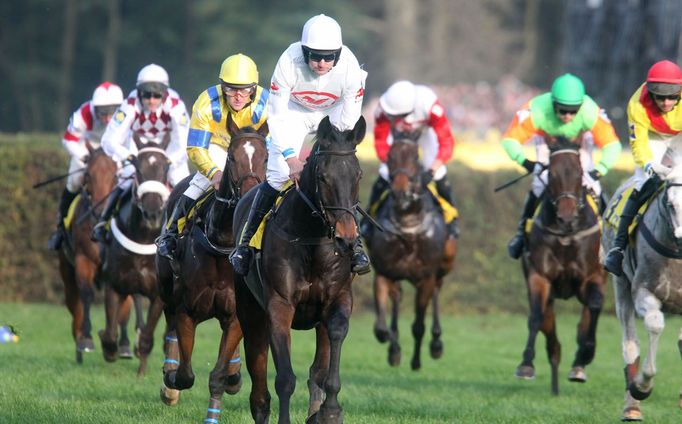 Velká pardubická 2015: Taxis