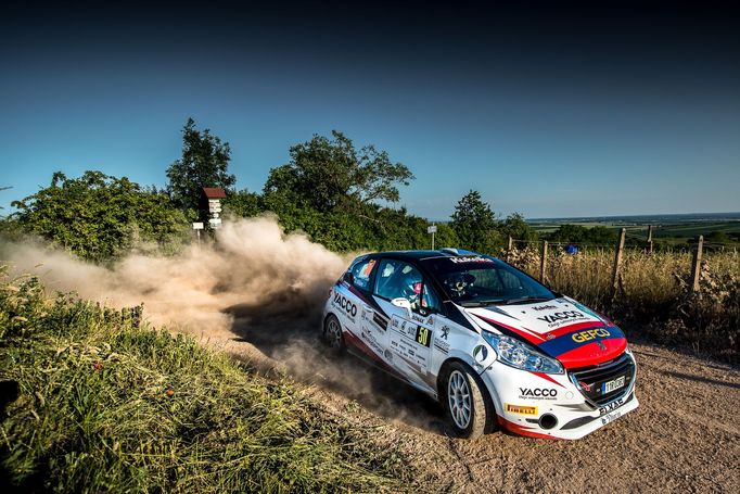 Lukáš Krupička, Peugeot 208 R2 na trati Rallye Hustopeče 2021