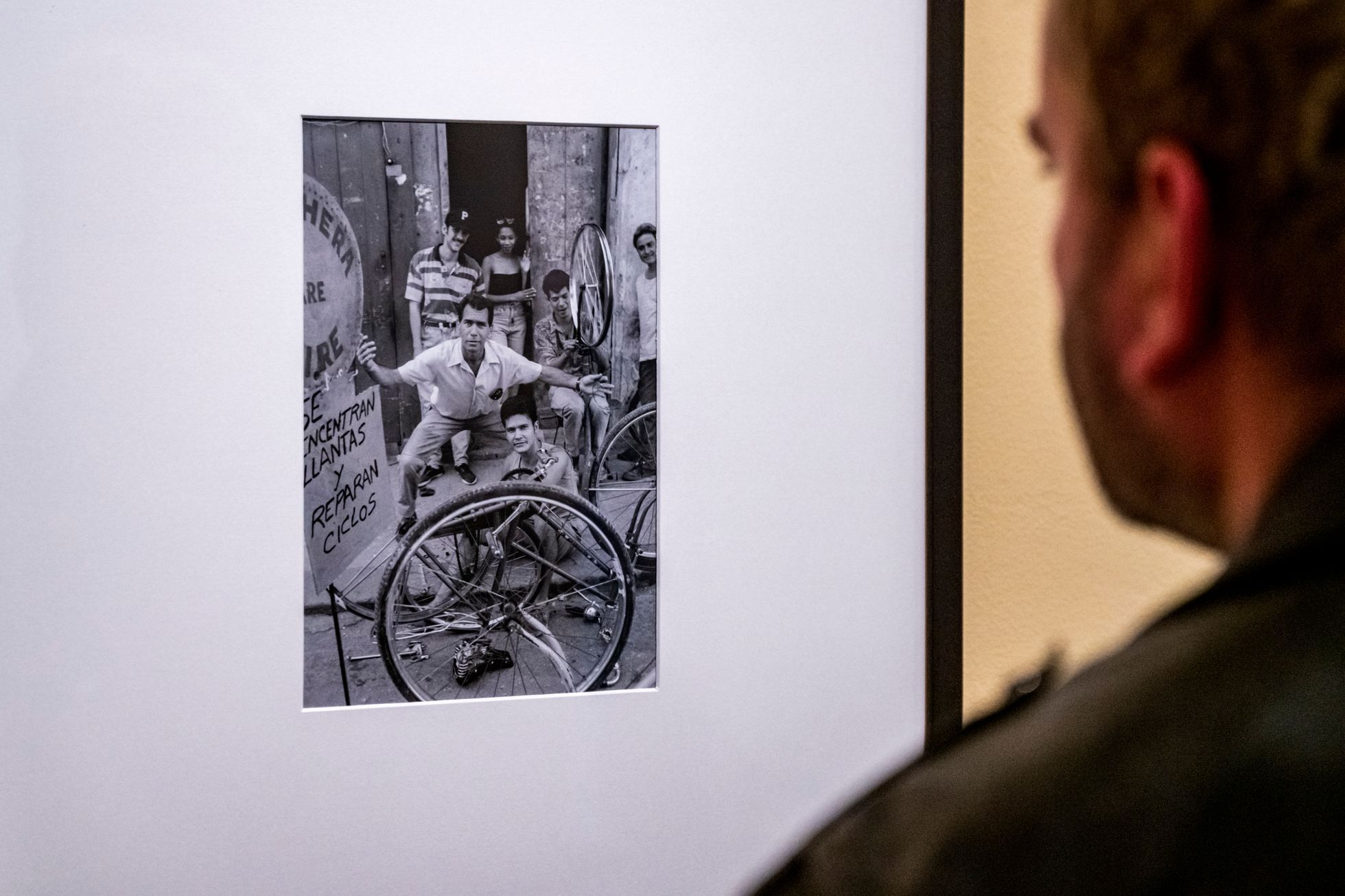 Helena Wilsonová, výstava, 2024