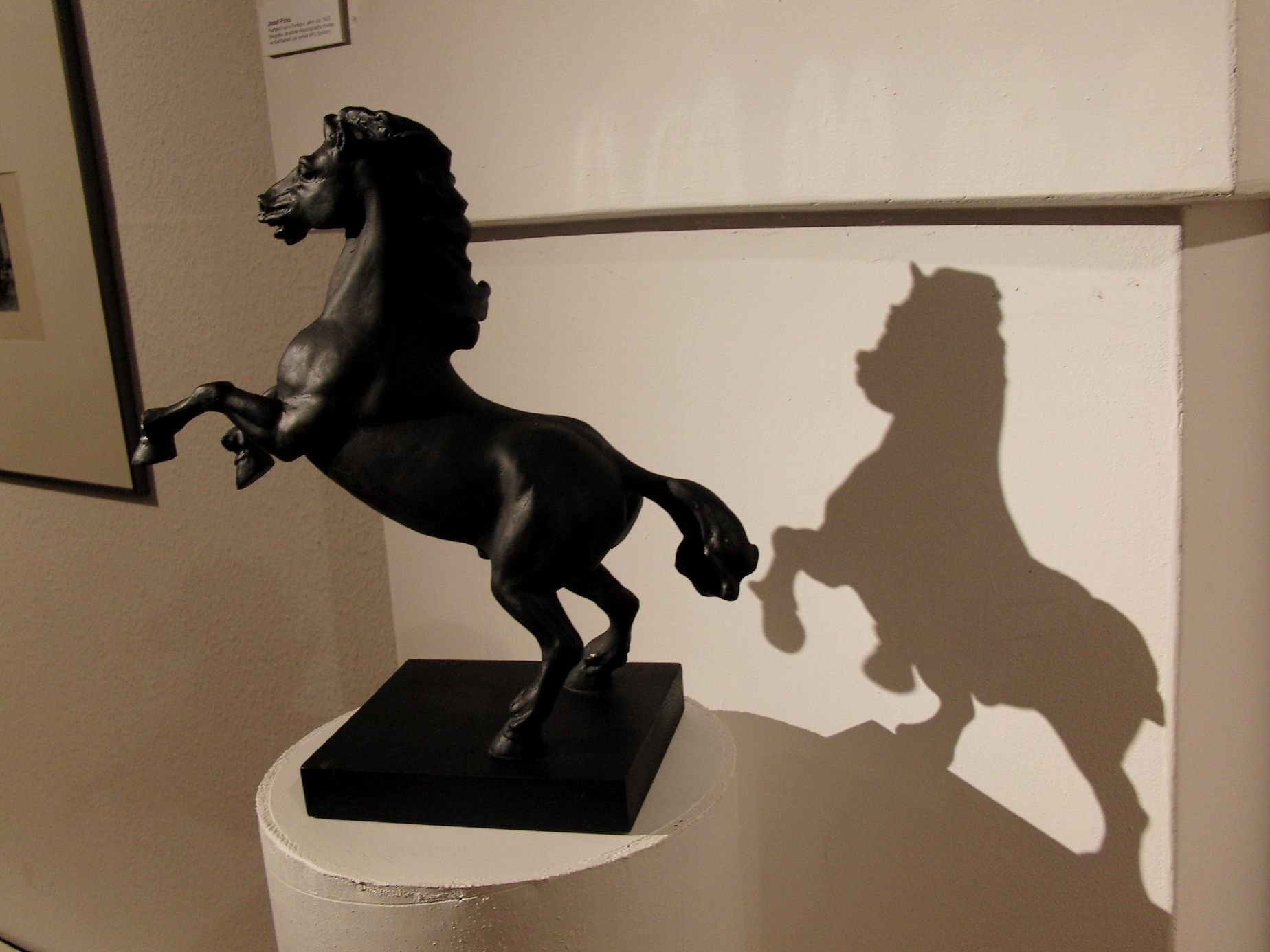 Království za koně - výstava ke 140. výročí Velké pardubické