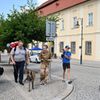 Boskovice, Festival pro židovskou čtvrť, 2023