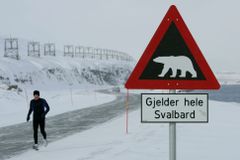 Lední medvěd zabil v kempu na Špicberkách turistu. Lidé pak zvíře zastřelili