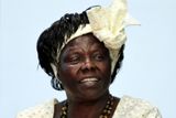 26. 9. - Zemřela Matka stromů, první Afričanka s cenou míru. Další informace se dozvíte v článku - zde