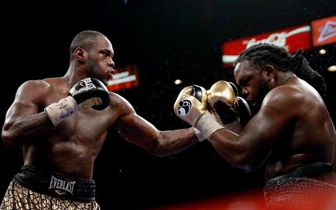 Deontay Wilder vs. Bermane Stiverne