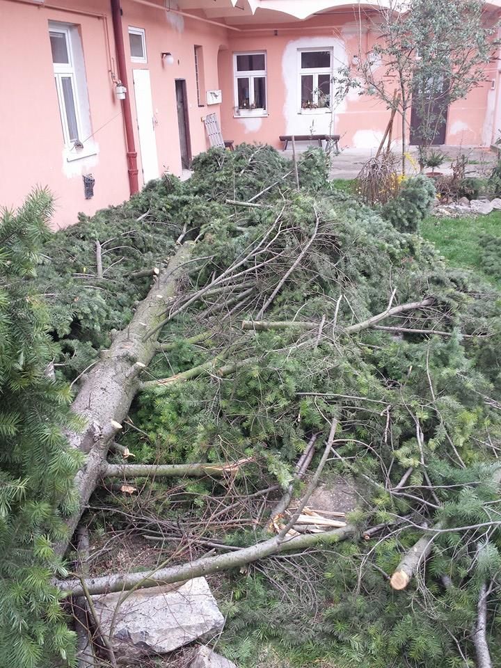 Sněžení - čtenářské foto - rodný dům Karla Hašlera