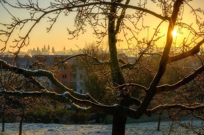 Krása jarní Prahy na fotografiích Richarda Horáka (vítěz soutěže Praha fotografická 2023)