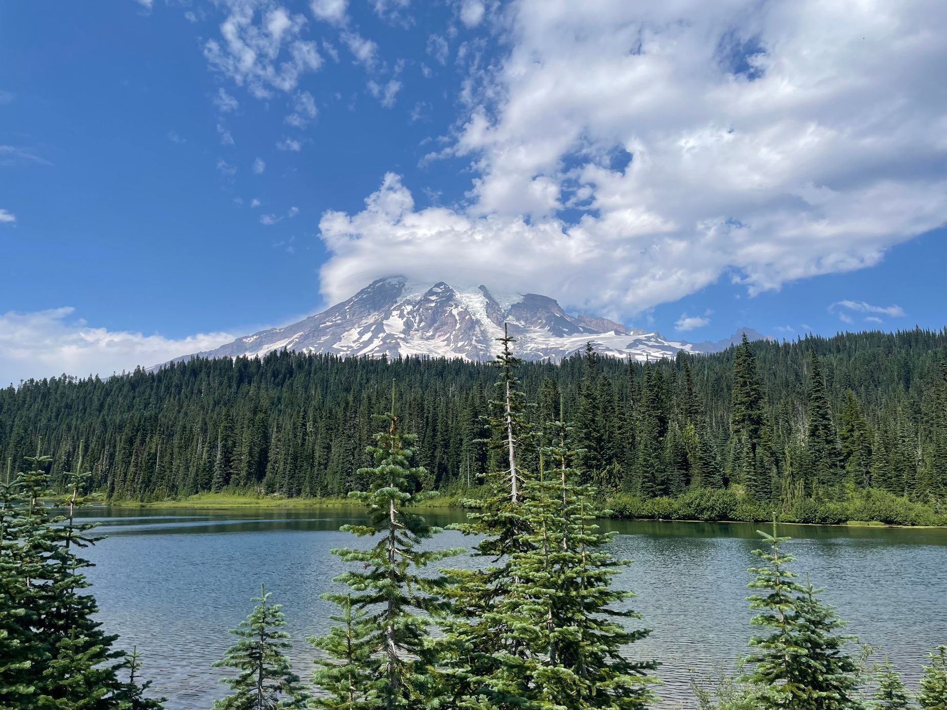 Pacifická hřebenovka