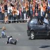 Nizozemsko královna