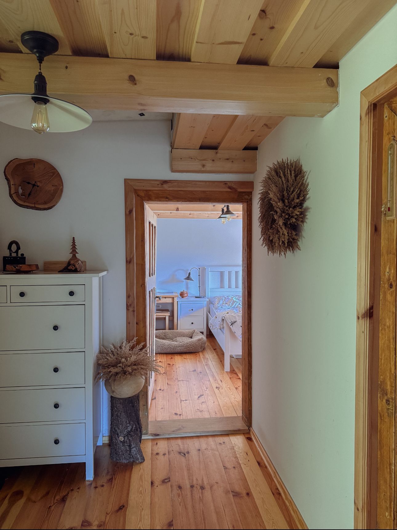 chalupa, les, bydlení, příběh, interiér, exteriér, příroda, chata