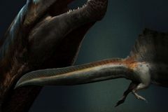 Průlom ve vědě: Paleontologové našli poprvé v historii fosilii vodního dinosaura