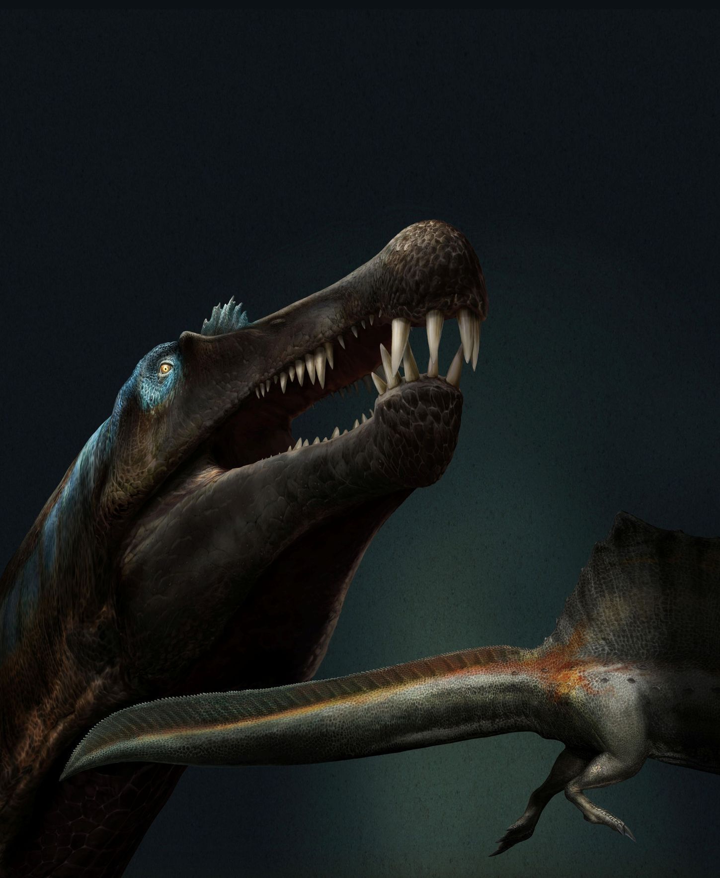 Spinosaurus (vodní)