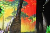 Při srovnání postavy herce, který v představení hraje paleontologa, vynikne ohromující velikost dinosaurů. Ač se jedná o mládě brachiosaura, měří model na výšku 12 metrů