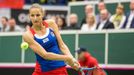 Plíšková vs. Buzarnescuová, Fed Cup Česko vs. Rumunsko