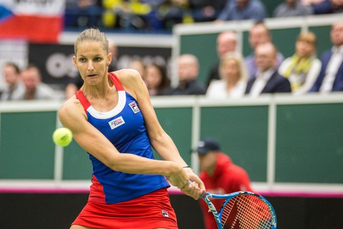 Plíšková vs. Buzarnescuová, Fed Cup Česko vs. Rumunsko