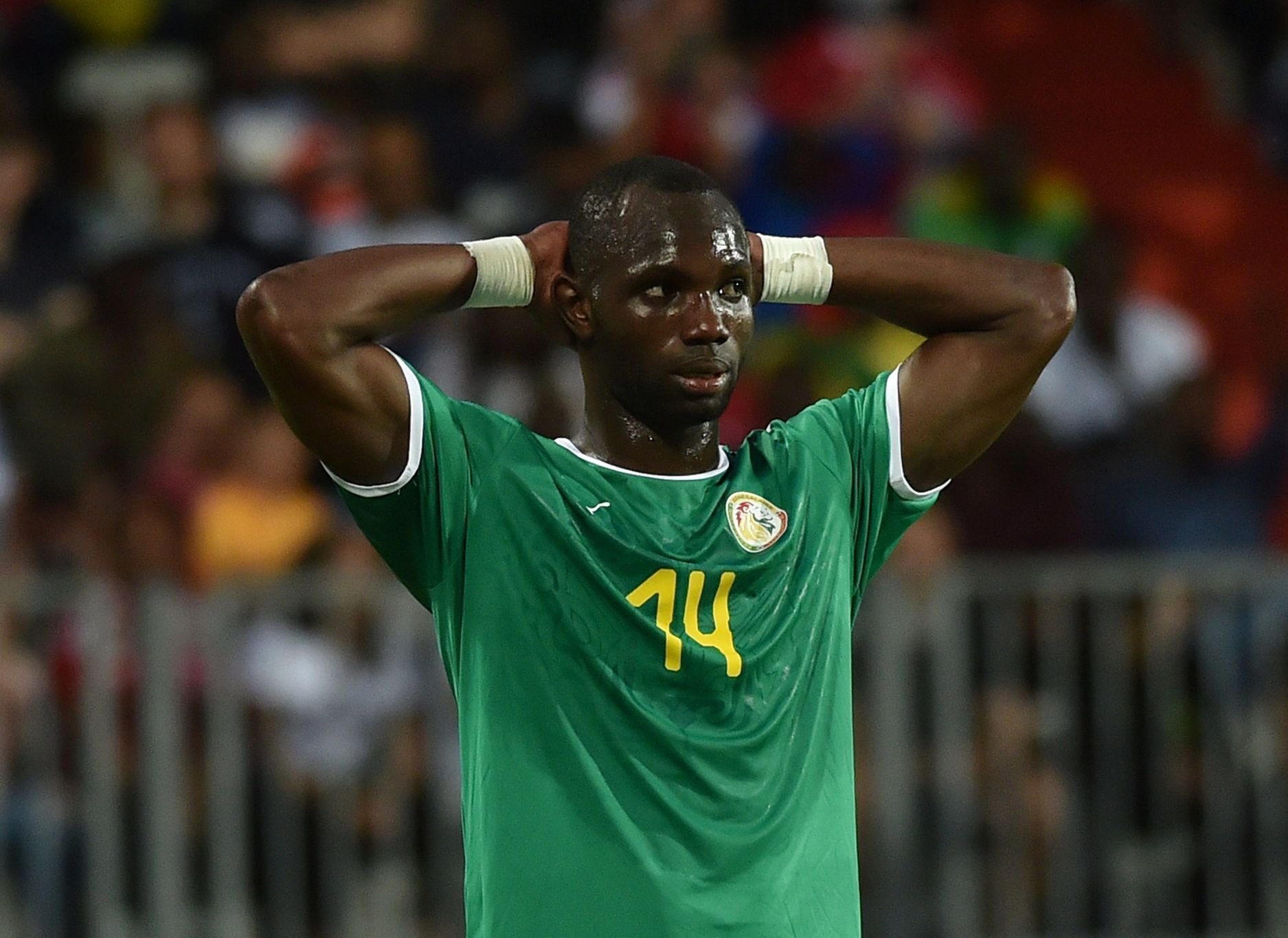 MS ve fotbale: dres Senegalu