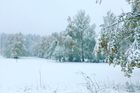 Na jihu Čech napadlo místy půl metru sněhu, sněžit má celý den, varuje ČHMÚ