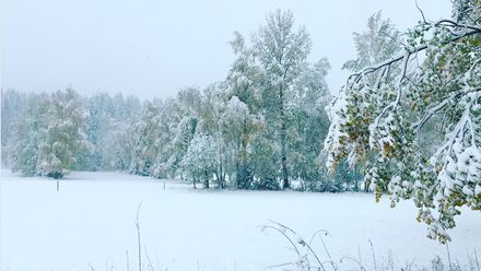 Šumavu zasypal první letošní sníh. Brzo ale roztaje