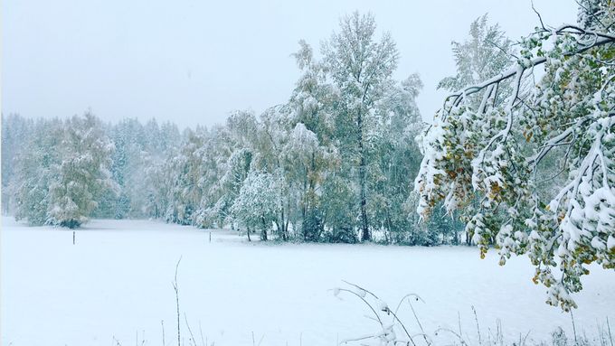 Sníh na Šumavě, ilustrační foto