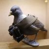 A mock-up of a pigeon with a small camera is seen on display at the 'Top Secret' Spy Museum in Oberhausen, July 10, 2013. The museum presents various objects, devices and gadgets used for spying or related to espionage. REUTERS/Ina Fassbender (GERMANY - Tags: SOCIETY ENTERTAINMENT) Published: Čec. 10, 2013, 2:59 odp.