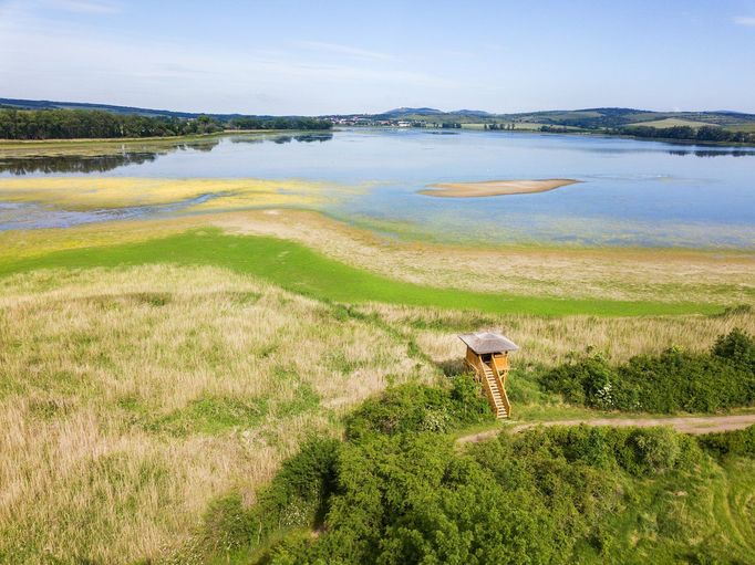 Jedna z ornitologických pozorovatelen na východním břehu rybníku Nesyt. Národní přírodní rezervace Lednické rybníky. Rok 2020