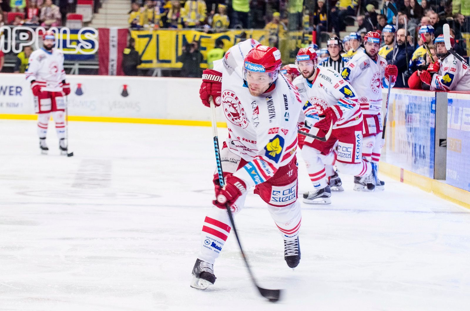 Předkolo 4. zápas: Oceláři Třinec vs. PSG Zlín (Plíhal)