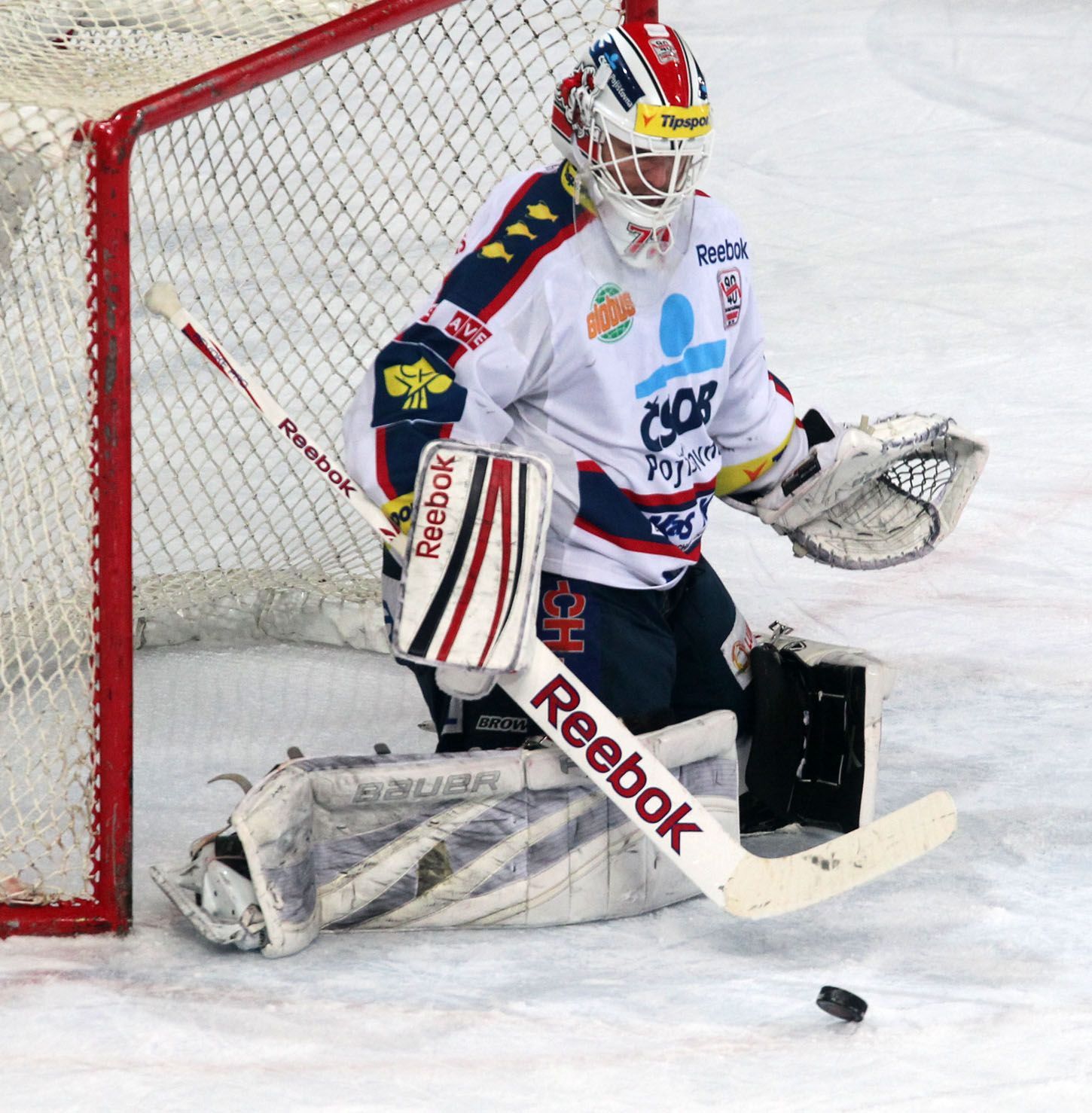 Hokejová extraliga, Sparta - Pardubice: Dušan Salfický