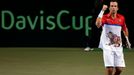 Radek Štěpánek se raduje z výhry nad Japoncem Item ve čtvrtfinále Davis Cupu