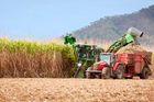 Úroda obilí na Slovensku dosáhne podle odhadu nového rekordu