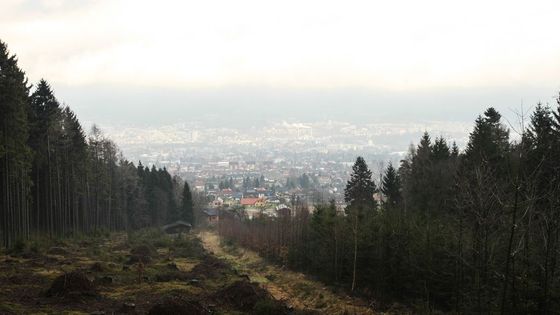 Fotky: Jaro místo zimy. U jediného vleku je fronta