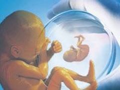 Sněmovna poslala do Senátu návrh zákona o výzkumu kmenových embryonálních buněk. Ilustrační fotografie.