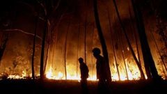 Lesní požár - ilustrační foto