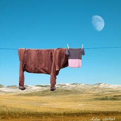 Prádlo kráva Helga Stentzel