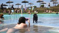 V Barceloně Laia chladí svého psa ve speciálním bazénu pro čtyřnohé miláčky. Vedro zesiluje, čeká se až 39 °C, to je celý 25stupňový rozdíl oproti deštivým britským břehům.