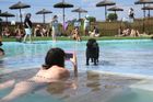 V Barceloně Laia chladí svého psa ve speciálním bazénu pro čtyřnohé miláčky. Vedro zesiluje, čeká se až 39 °C, to je celý 25stupňový rozdíl oproti deštivým britským břehům.