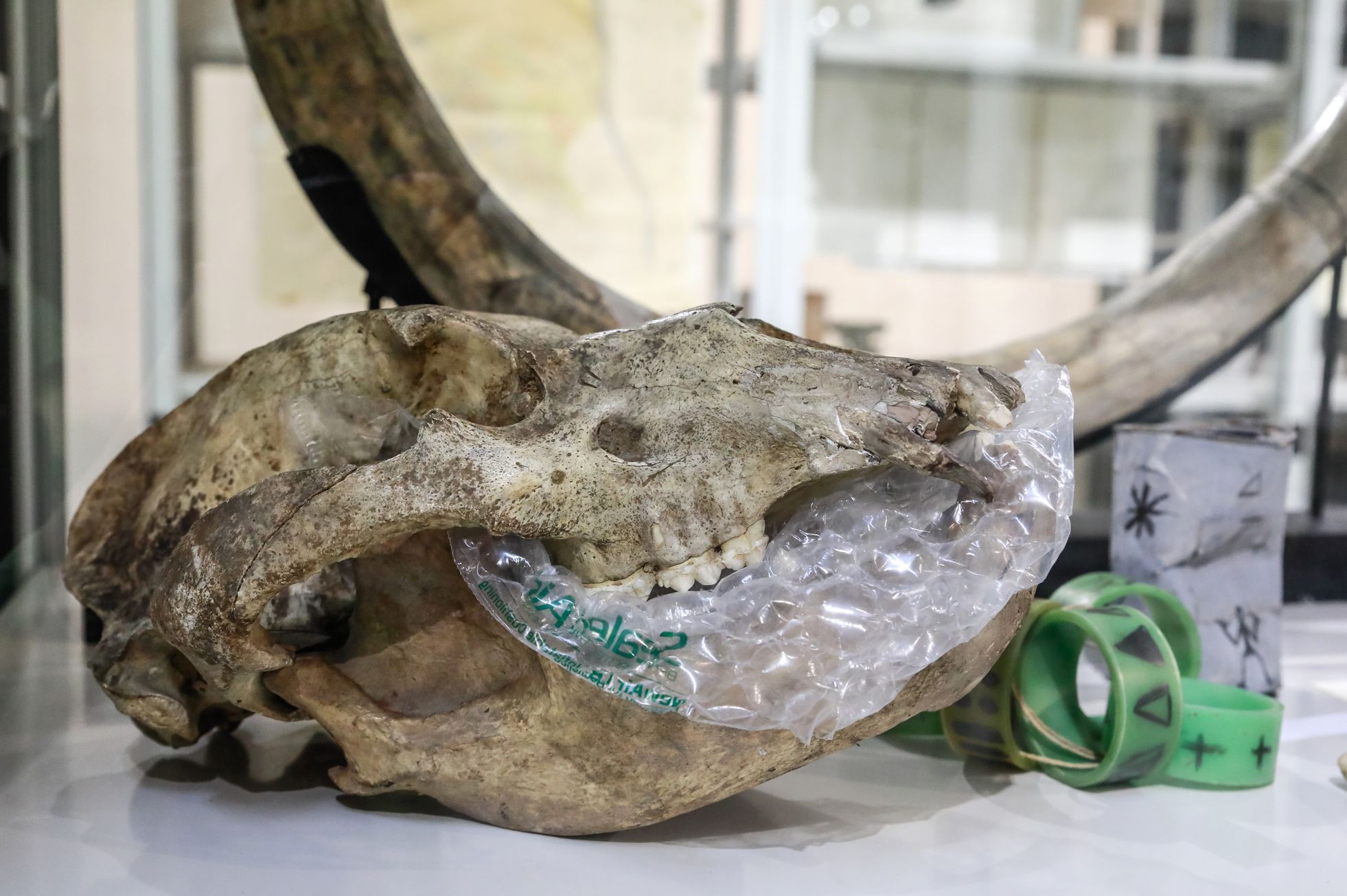 Valoch & Valoch, Moravská galerie, 2022, výstava